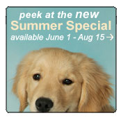 summer special