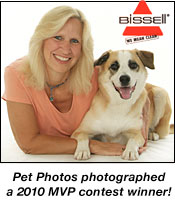pet photos MVP