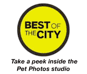 pet photos video