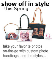 photo handbags