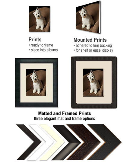 print options
