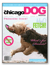 the chicago dog
