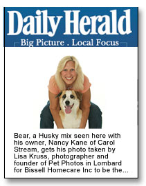 daily herald