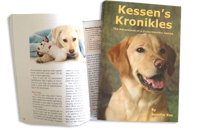 labrador retriever books