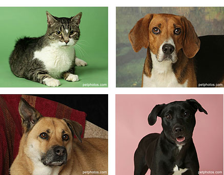 petphotos.com