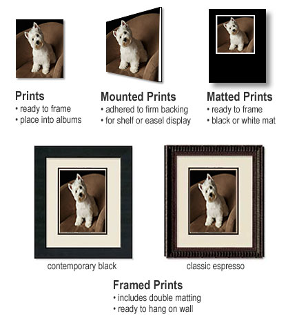 print options