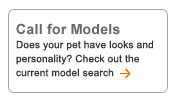 wanna model?