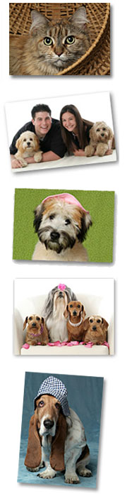 sessions images